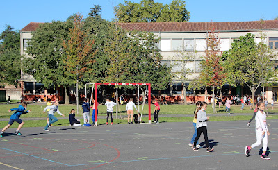École Catholique d'Enseignement Bon Sauveur à Albi