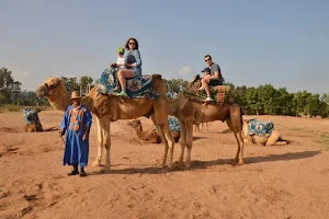 DAR SOUSS LOISIR ( Things to do in Agadir : Randonnée de dromadaire à Agadir / Camel ride in Agadir / Kamelreiten in Agadir ) image