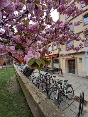 SELLAM IMMOBILIER à Strasbourg