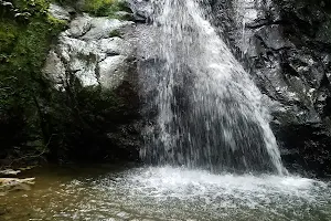 Salto del Rodeo (Caño Francisco) image