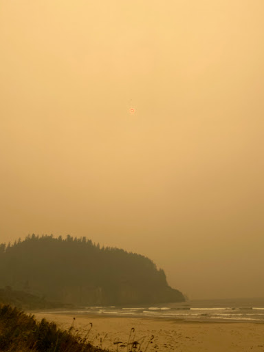 Roofing Contractor «A Good Roof», reviews and photos, 5815 Sea View Ave, Tillamook, OR 97141, USA