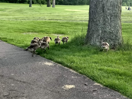 Golf Club «Patuxent Greens Country Club», reviews and photos, 14415 Greenview Dr, Laurel, MD 20708, USA