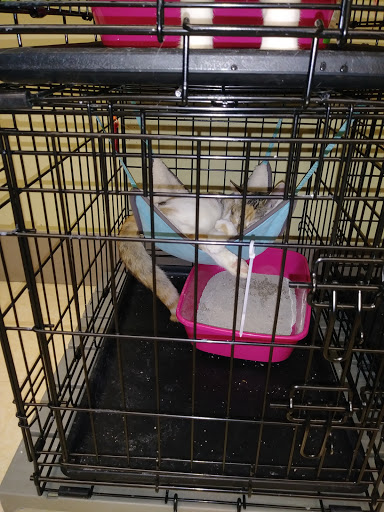 Pet Supply Store «Petco Animal Supplies», reviews and photos, 300 Quaker Ln #3, Warwick, RI 02886, USA