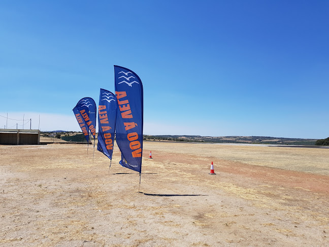 Aeródromo Municipal de Mogadouro - Serviço de transporte