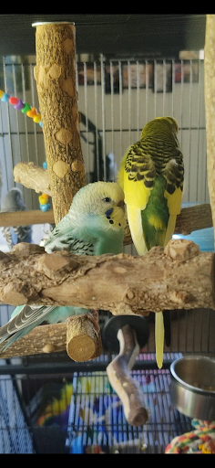 Pet Store «Off The Hook Exotics Pet Shop», reviews and photos, 926 5th Ave, Coraopolis, PA 15108, USA