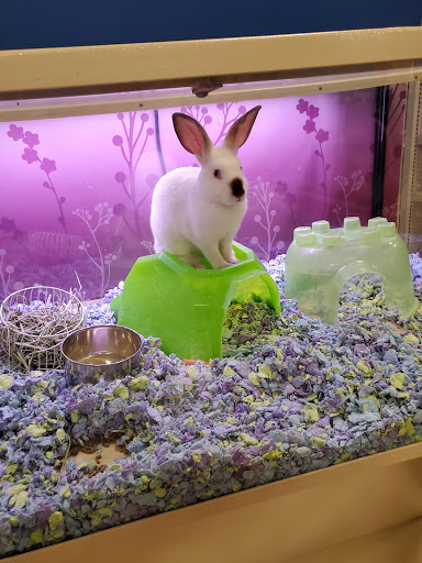 Pet Supply Store «PetSmart», reviews and photos, 466 S Watson Rd, Buckeye, AZ 85326, USA