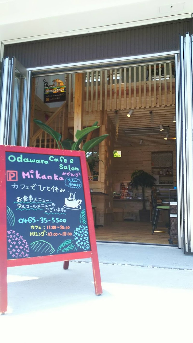 odawara cafe & salon Mikanka