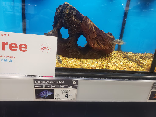 Pet Supply Store «Petco Animal Supplies», reviews and photos, 6761 Westminster Ave, Westminster, CA 92683, USA