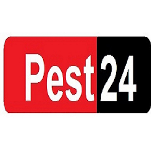 Comments and reviews of Pest24. Pest Control Swindon