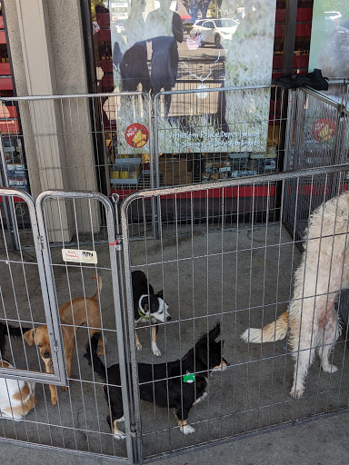Pet Supply Store «Pet Food Express», reviews and photos, 372 Woodside Rd, Redwood City, CA 94061, USA