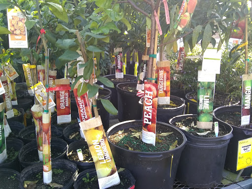 Home Improvement Store «The Home Depot», reviews and photos, 2901 N University Dr, Sunrise, FL 33322, USA