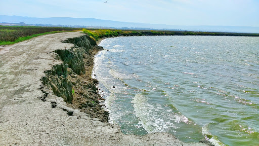 Park «Alviso Marina County Park», reviews and photos, 1195 Hope St, Alviso, CA 95002, USA