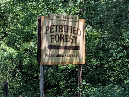 National Forest «Petrified Forest», reviews and photos