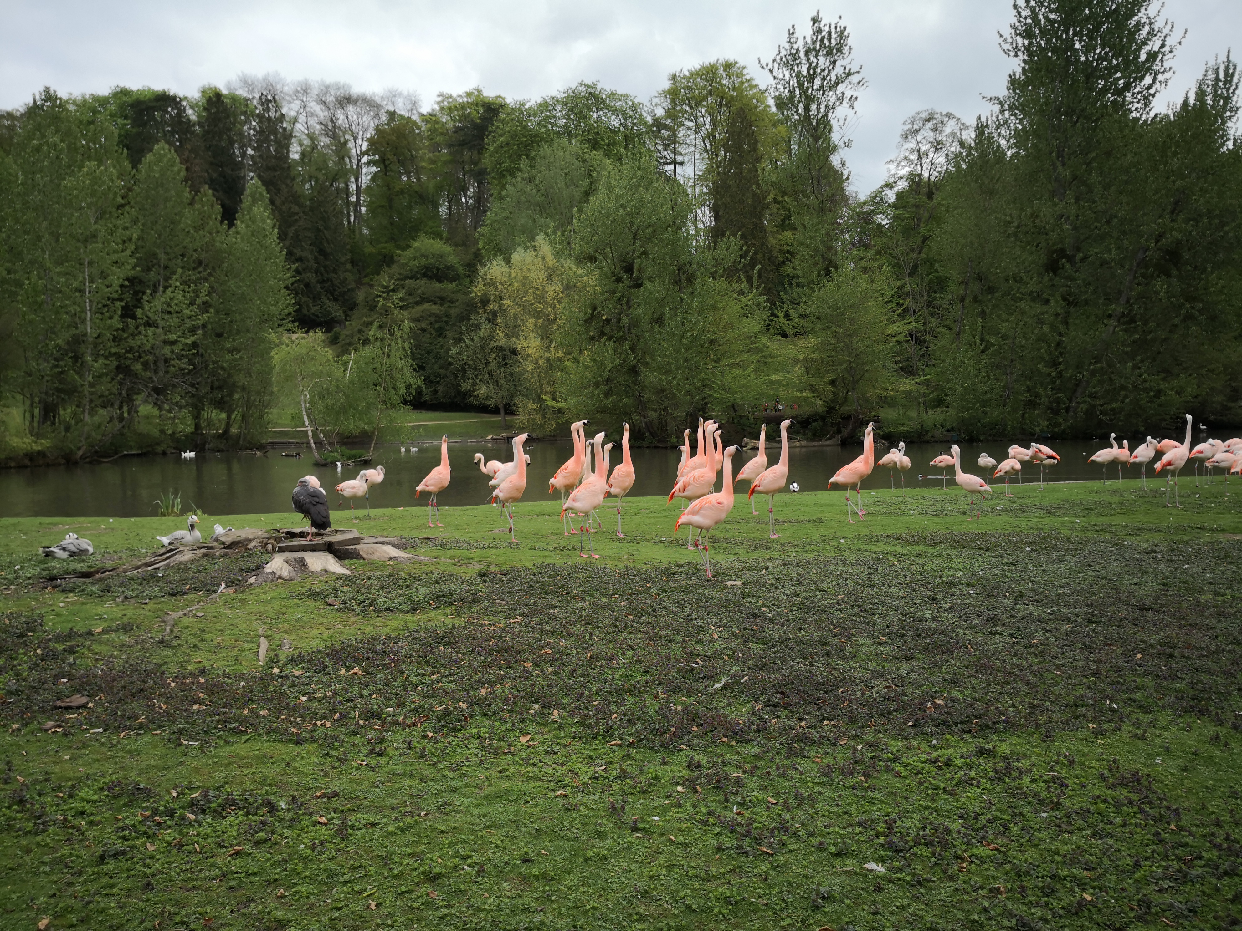 Photo n° 13 de l'avis de Mélanie. fait le 02/05/2019 à 08:22