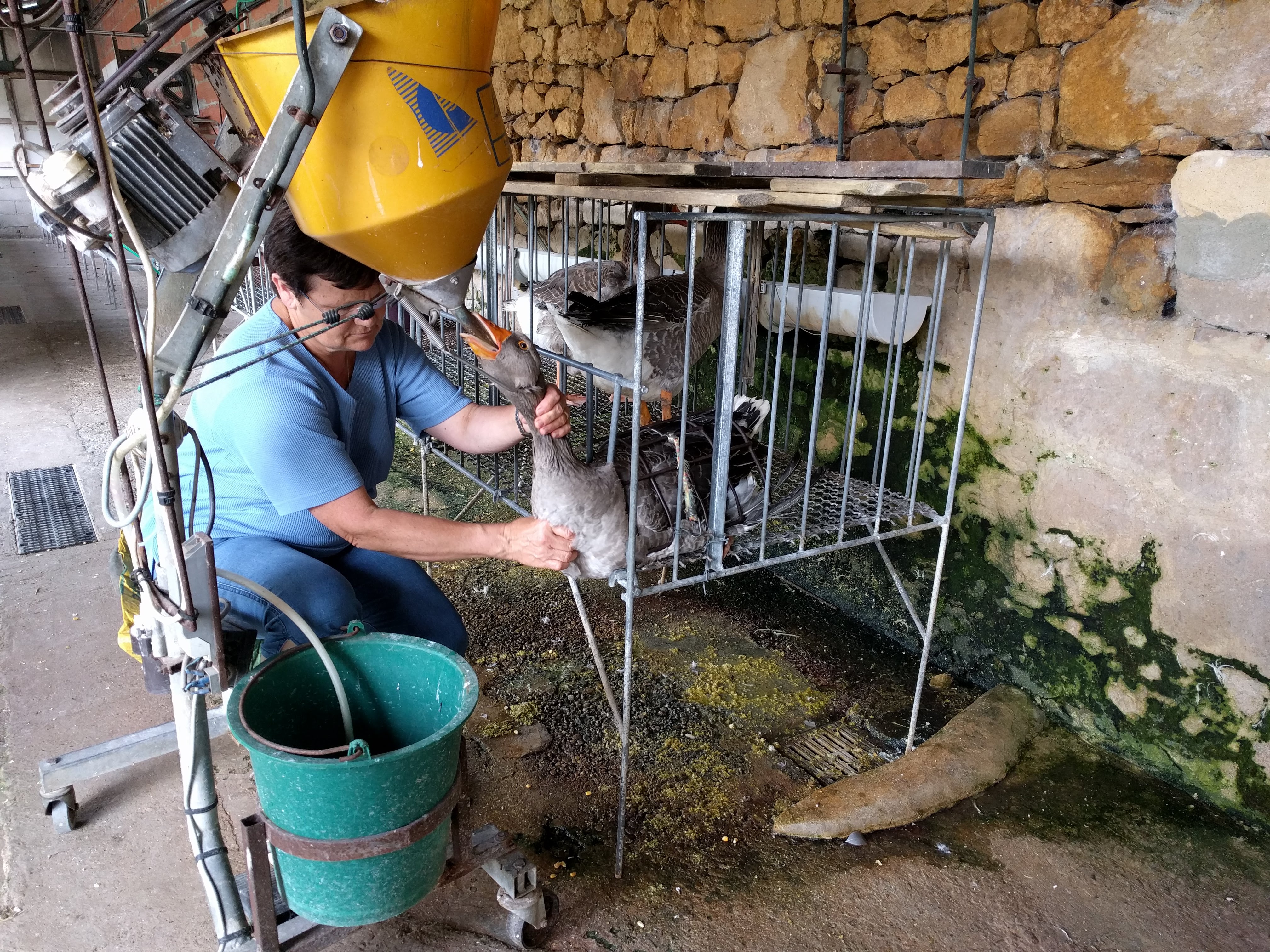 Photo n° 1 de l'avis de Philippe. fait le 11/06/2018 à 20:33