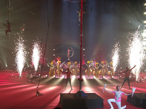 Circus shows in Mexico City