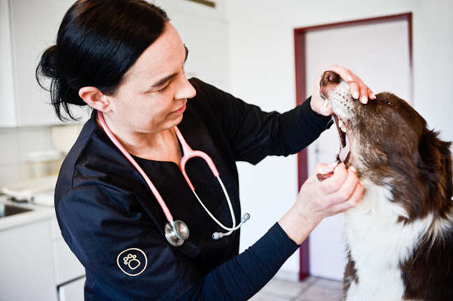 Tierarztpraxis Tannhübel AG - Tierarzt