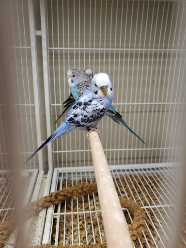 Pet Supply Store «Pet Supplies Plus», reviews and photos, 1791 W Columbia Ave, Battle Creek, MI 49015, USA