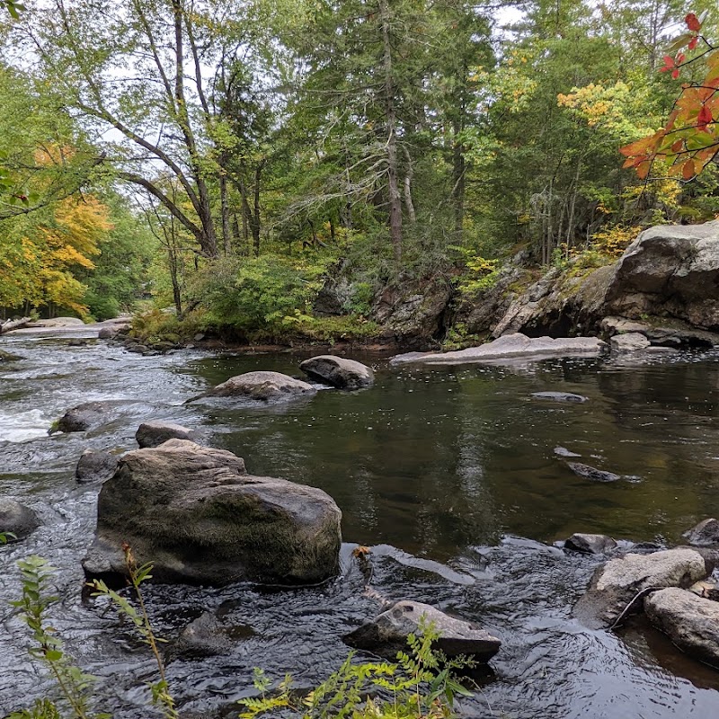 Wildcat Falls