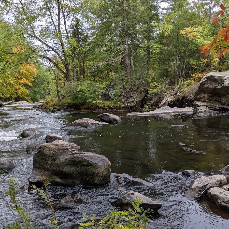 Wildcat Falls