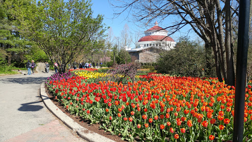 Jardín botánico y zoo de Cincinnati