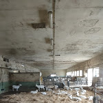 Photo n°1 de l'avis de Matteo.a fait le 22/09/2023 à 04:00 sur le  I Silos à Besate