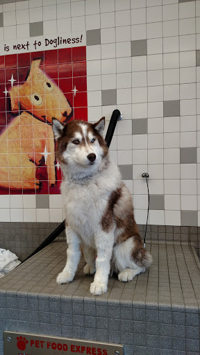 Pet Supply Store «Pet Food Express», reviews and photos, 5148 Stevens Creek Blvd, San Jose, CA 95129, USA