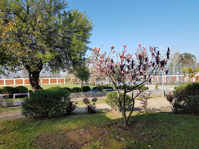 Horarios de Liceo Municipal de Codegua