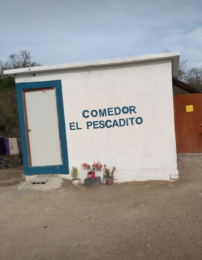 Comedor El Pescadito - Colonia el Paraiso, 89970 Nuevo Morelos, Tamps., Mexico