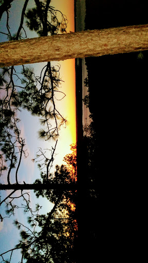 National Forest «Tuskegee National Forest», reviews and photos, 125 National Forest Rd 949, Tuskegee, AL 36083, USA