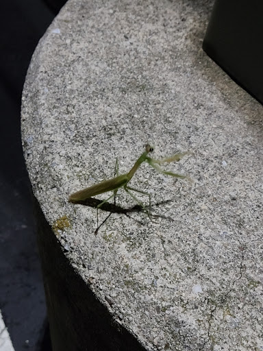 Movie Theater «Regal Cinemas Harrisburg 14», reviews and photos, 1500 Caughey Dr, Harrisburg, PA 17112, USA