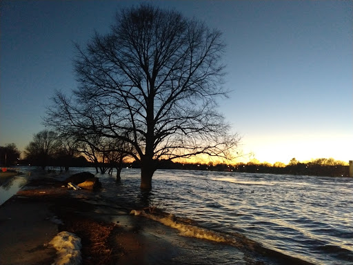 Movie Theater «Rogers Cinema 6», reviews and photos, 220 E Grand Ave, Wisconsin Rapids, WI 54494, USA