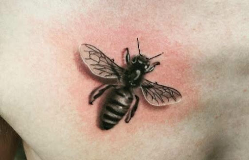 Tattoo Shop «Eclipse Tattoo», reviews and photos, 1803 State Ave NE, Olympia, WA 98506, USA