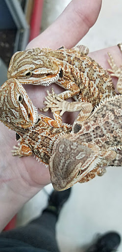 Shopping Mall «Hampton Plaza Shopping Center», reviews and photos, 4033 W Mercury Blvd, Hampton, VA 23666, USA