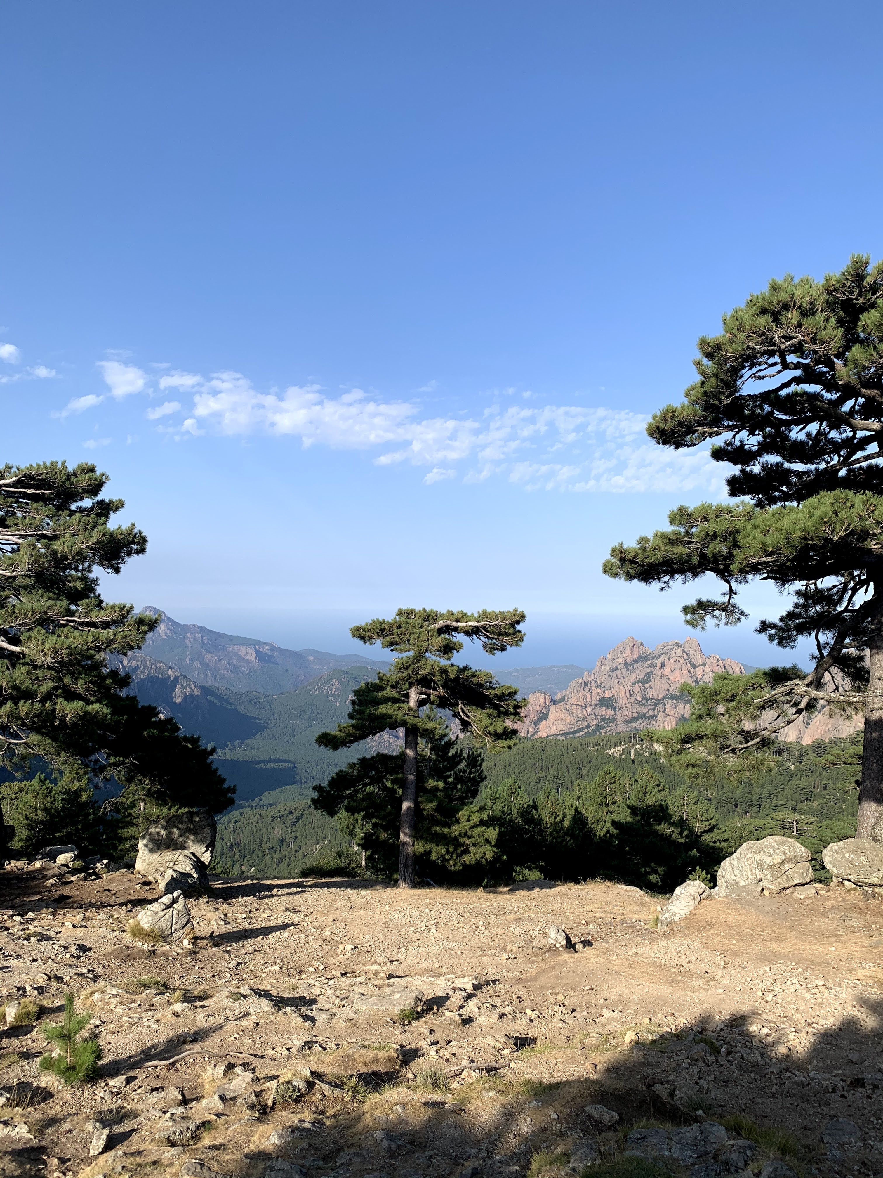 Photo n° 6 de l'avis de Tommaso.a fait le 13/08/2021 à 19:24