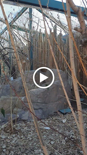 Zoo «Denver Zoo», reviews and photos, 2300 Steele St, Denver, CO 80205, USA