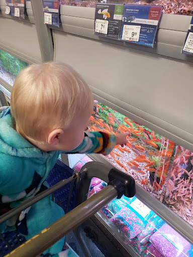 Pet Store «PetSmart», reviews and photos, 213 Greenville Hwy, Hendersonville, NC 28792, USA