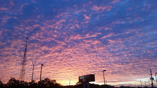 Hardware Store «Harbor Freight Tools», reviews and photos, 30990 US Hwy 19 N, Palm Harbor, FL 34684, USA