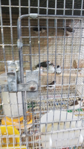 Animal Feed Store «Farmers Feed & Pet Supply», reviews and photos, 1302 E Miner Ave, Stockton, CA 95205, USA