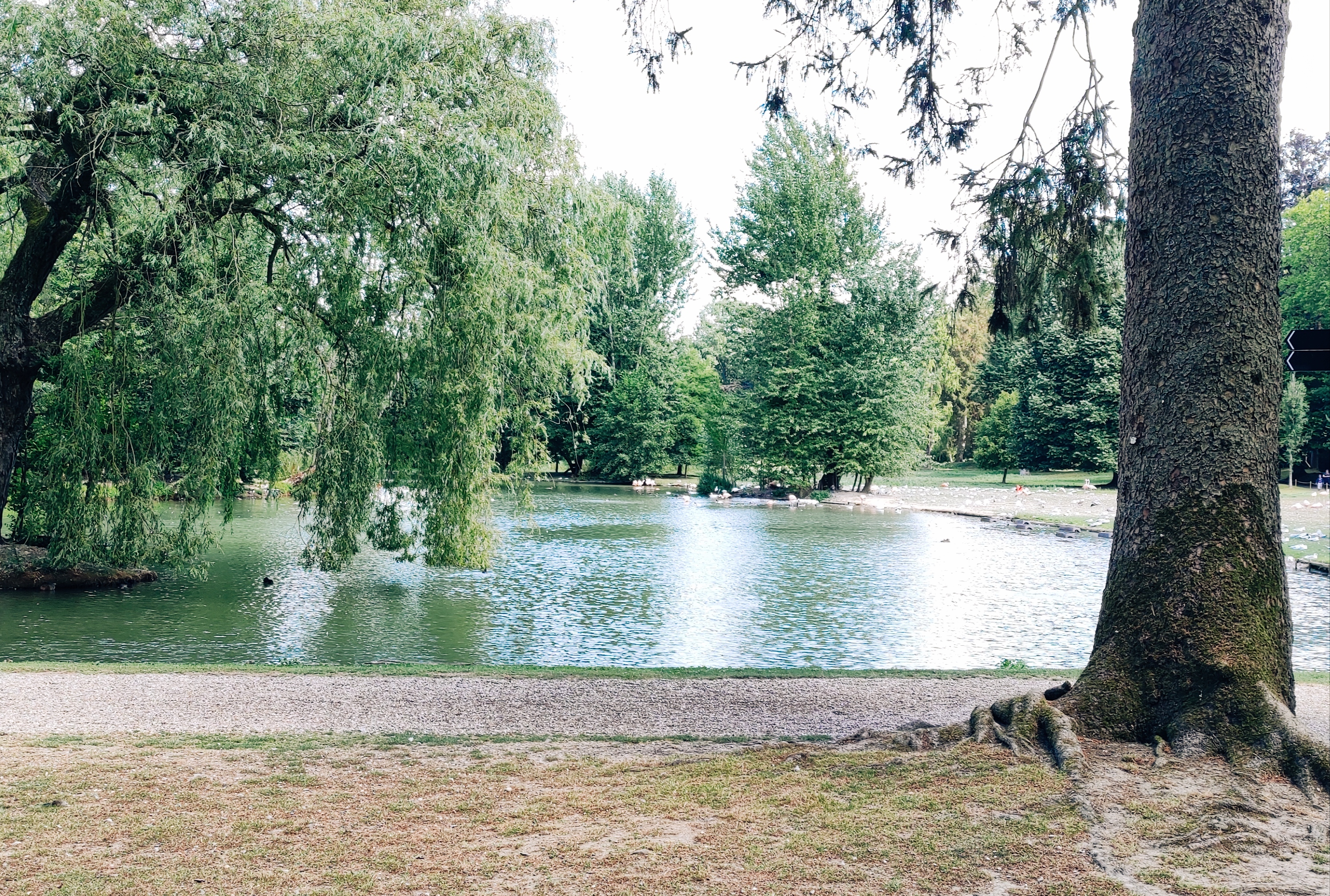 Photo n° 4 de l'avis de Florence.u fait le 06/08/2022 à 18:14