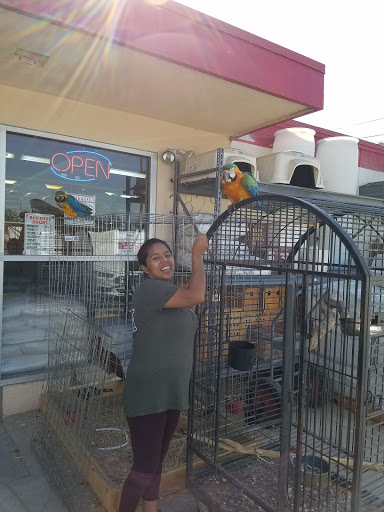 Animal Feed Store «Chevy Feed & Pet Supply», reviews and photos, 2829 Edison Hwy, Bakersfield, CA 93307, USA