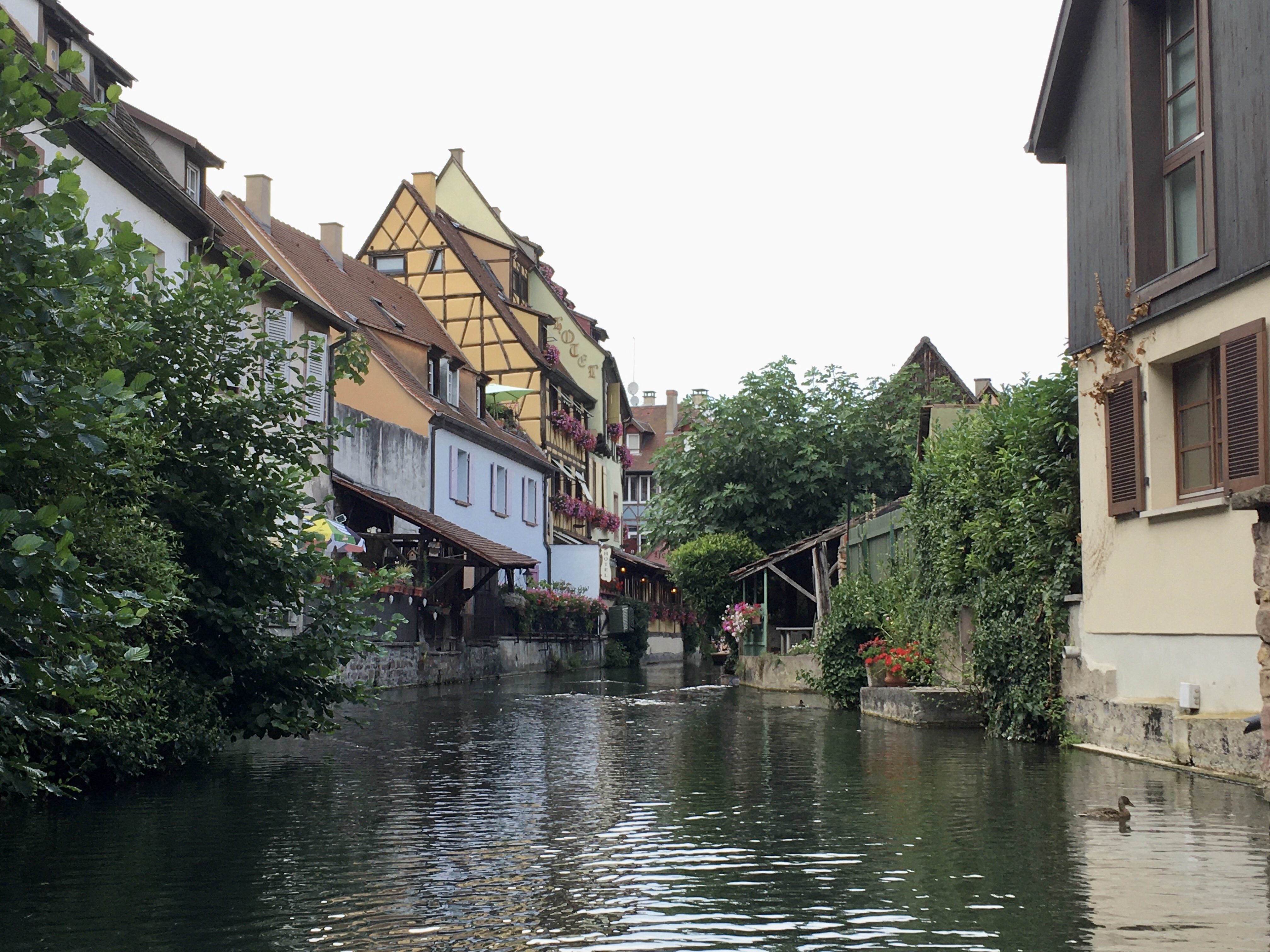 Photo n° 2 de l'avis de Laurent.e fait le 12/08/2020 à 18:34