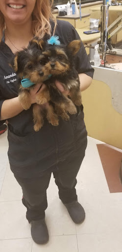 Pet Supply Store «PetSmart», reviews and photos, 11331 Causeway Blvd, Brandon, FL 33511, USA