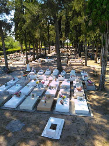 Cementerio de San javier - Río Negro