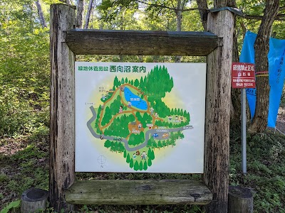 市民の森