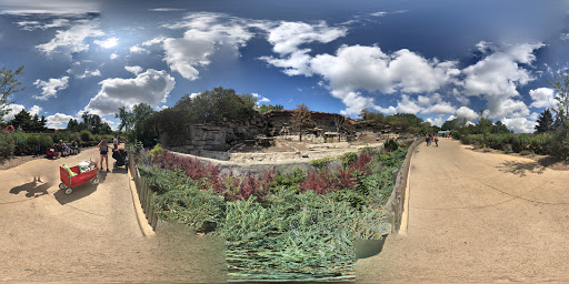 Zoo «Arctic Ring of Life», reviews and photos, 8450 W 10 Mile Rd, Royal Oak, MI 48067, USA