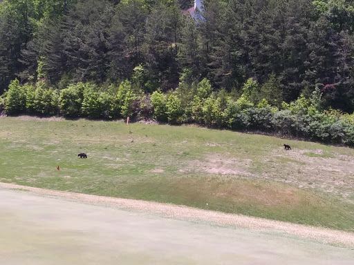 Golf Club «Innsbruck Resort & Golf Club», reviews and photos, 664 Bahn Innsbruck, Helen, GA 30545, USA