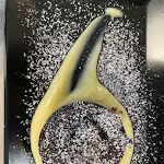 Photo n°2 de l'avis de Sara.e fait le 02/04/2024 à 06:22 sur le  Sughereto Vino e Cibo à Suvereto