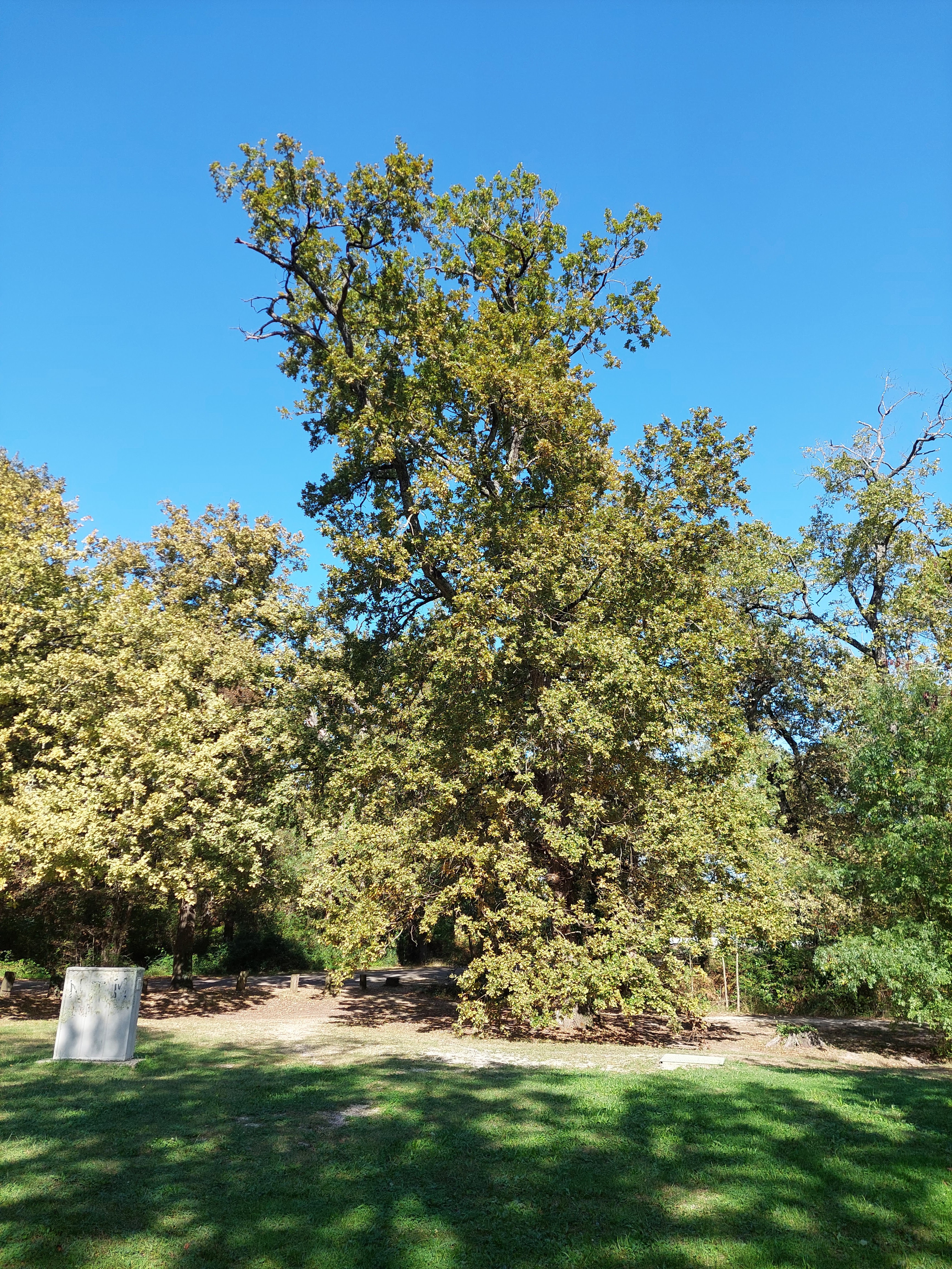 Photo n° 5 de l'avis de Florence.R fait le 11/10/2023 à 23:16