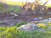 Johnson Electric - Photo 2 - Car repair in Merced, CA, Merced